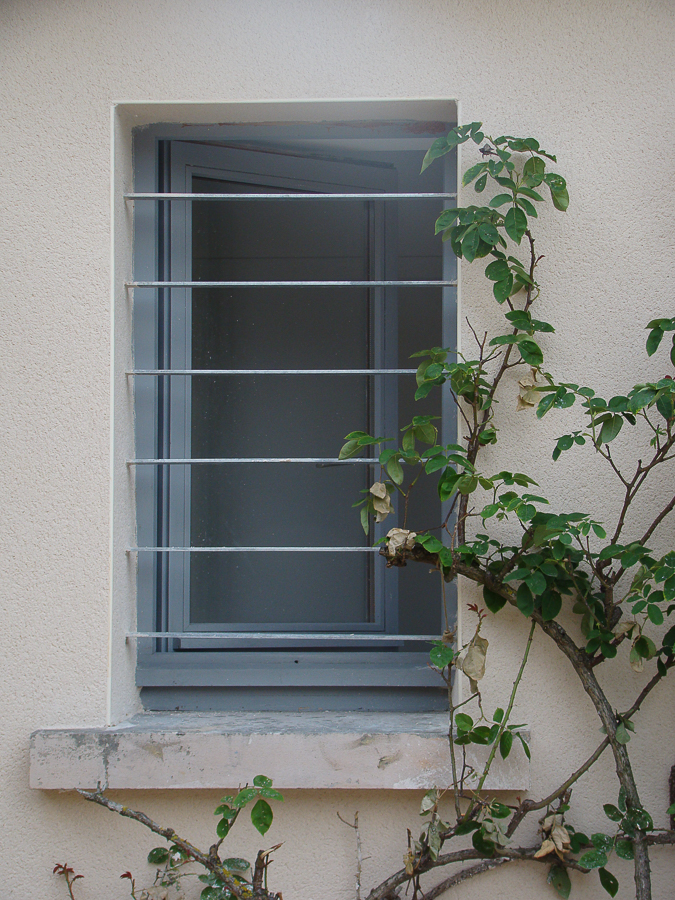 Une fenêtre métallique affichant une plante.