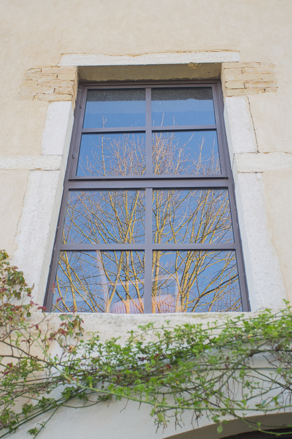 Une fenêtre métallique reflétant un arbre.